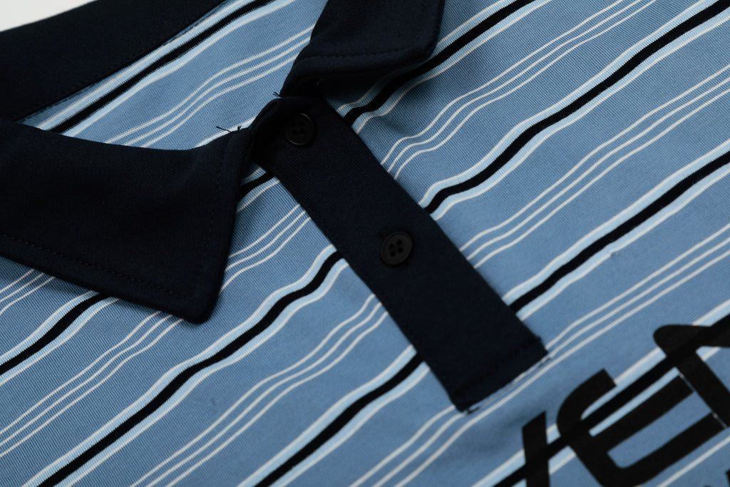 Blue Striped Polo